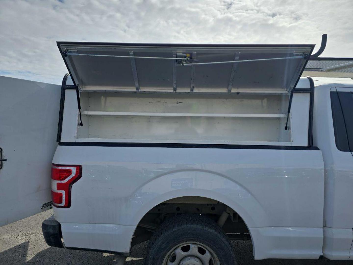 2019 WHITE FORD F150 XL (1FTMF1EB1KK) with an 3.3L engine, Automatic transmission, located at 2525 S. Cushman, Fairbanks, AK, 99701, (907) 452-5707, 64.824036, -147.712311 - Photo#6