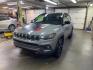 2023 GRAY JEEP COMPASS TRAILHAWK (3C4NJDDN2PT) with an 2.0L engine, Automatic transmission, located at 2525 S. Cushman, Fairbanks, AK, 99701, (907) 452-5707, 64.824036, -147.712311 - Photo#1