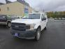 2018 WHITE FORD F150 (1FTMF1EBXJK) with an 3.3L engine, Automatic transmission, located at 2525 S. Cushman, Fairbanks, AK, 99701, (907) 452-5707, 64.824036, -147.712311- Photo#1