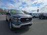 2023 GRAY FORD F150 SUPERCREW (1FTFW1E55PF) with an 5.0L engine, Automatic transmission, located at 2525 S. Cushman, Fairbanks, AK, 99701, (907) 452-5707, 64.824036, -147.712311 - Photo#3