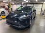 2023 BLACK TOYOTA RAV4 XLE XLE (2T3W1RFVXPW) with an 2.5L engine, Automatic transmission, located at 2525 S. Cushman, Fairbanks, AK, 99701, (907) 452-5707, 64.824036, -147.712311 - Photo#1