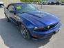 2010 BLUE FORD MUSTANG GT GT (1ZVBP8FH8A5) with an 4.6L engine, Automatic transmission, located at 2525 S. Cushman, Fairbanks, AK, 99701, (907) 452-5707, 64.824036, -147.712311 - Photo#1