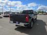 2024 BLUE CHEVROLET SILVERADO 2500 HEAVY DUTY LT (2GC4YNEY8R1) with an 6.6L engine, Automatic transmission, located at 2525 S. Cushman, Fairbanks, AK, 99701, (907) 452-5707, 64.824036, -147.712311 - Photo#2