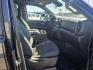 2024 GRAY CHEVROLET SILVERADO 2500 HEAVY DUTY LT (1GC4YNE77RF) with an 6.6L engine, Automatic transmission, located at 2525 S. Cushman, Fairbanks, AK, 99701, (907) 452-5707, 64.824036, -147.712311 - Photo#2