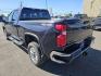 2024 GRAY CHEVROLET SILVERADO 2500 HEAVY DUTY LT (1GC4YNE77RF) with an 6.6L engine, Automatic transmission, located at 2525 S. Cushman, Fairbanks, AK, 99701, (907) 452-5707, 64.824036, -147.712311 - Photo#4