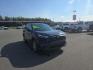 2024 BLUE TOYOTA RAV4 XLE XLE (2T3P1RFV6RW) with an 2.5L engine, Automatic transmission, located at 2525 S. Cushman, Fairbanks, AK, 99701, (907) 452-5707, 64.824036, -147.712311- Photo#1