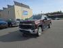 2024 BROWN CHEVROLET SILVERADO 2500 HEAVY DUTY LT (1GC4YNE71RF) with an 6.6L engine, Automatic transmission, located at 2525 S. Cushman, Fairbanks, AK, 99701, (907) 452-5707, 64.824036, -147.712311- Photo#1