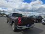 2024 BROWN CHEVROLET SILVERADO 2500 HEAVY DUTY LT (1GC4YNE75RF) with an 6.6L engine, Automatic transmission, located at 2525 S. Cushman, Fairbanks, AK, 99701, (907) 452-5707, 64.824036, -147.712311- Photo#3