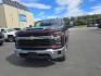 2024 BROWN CHEVROLET SILVERADO 2500 HEAVY DUTY LT (1GC4YNE75RF) with an 6.6L engine, Automatic transmission, located at 2525 S. Cushman, Fairbanks, AK, 99701, (907) 452-5707, 64.824036, -147.712311- Photo#1