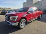 2021 RED FORD F150 LARIAT SUPERCREW (1FTFW1E80MK) with an 3.5L engine, Automatic transmission, located at 2525 S. Cushman, Fairbanks, AK, 99701, (907) 452-5707, 64.824036, -147.712311- Photo#1