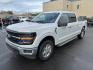 2024 GRAY FORD F150 XLT (1FTFW3L56RK) with an 5.0L engine, Automatic transmission, located at 2525 S. Cushman, Fairbanks, AK, 99701, (907) 452-5707, 64.824036, -147.712311- Photo#0