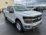 2024 GRAY FORD F150 XLT (1FTFW3L56RK) with an 5.0L engine, Automatic transmission, located at 2525 S. Cushman, Fairbanks, AK, 99701, (907) 452-5707, 64.824036, -147.712311- Photo#1