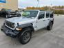 2024 SILVER JEEP WRANGLER SPORT SPORT (1C4PJXDG8RW) with an 3.6L engine, Automatic transmission, located at 2525 S. Cushman, Fairbanks, AK, 99701, (907) 452-5707, 64.824036, -147.712311- Photo#0