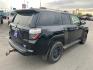 2018 BLACK TOYOTA 4RUNNER TRD PRO SR5/SR5 PREMIUM (JTEBU5JR6J5) with an 4.0L engine, Automatic transmission, located at 2525 S. Cushman, Fairbanks, AK, 99701, (907) 452-5707, 64.824036, -147.712311- Photo#2