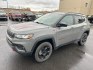 2023 GRAY JEEP COMPASS TRAILHAWK (3C4NJDDN8PT) with an 2.0L engine, Automatic transmission, located at 2525 S. Cushman, Fairbanks, AK, 99701, (907) 452-5707, 64.824036, -147.712311- Photo#0