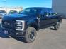 2026 BLACK FORD F250 TREMOR SUPER DUTY (1FT8W2BN3TE) with an 7.3L engine, Automatic transmission, located at 2525 S. Cushman, Fairbanks, AK, 99701, (907) 452-5707, 64.824036, -147.712311- Photo#0