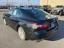 2024 BLACK TOYOTA CAMRY AWD LE (4T1R11BK9RU) with an 2.5L engine, Automatic transmission, located at 2525 S. Cushman, Fairbanks, AK, 99701, (907) 452-5707, 64.824036, -147.712311- Photo#3