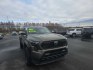 2024 TAN TOYOTA TACOMA DOUBLE CAB (3TYLB5JN3RT) with an 2.4L engine, Automatic transmission, located at 2525 S. Cushman, Fairbanks, AK, 99701, (907) 452-5707, 64.824036, -147.712311- Photo#0