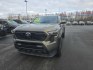 2024 TAN TOYOTA TACOMA DOUBLE CAB (3TYLB5JN3RT) with an 2.4L engine, Automatic transmission, located at 2525 S. Cushman, Fairbanks, AK, 99701, (907) 452-5707, 64.824036, -147.712311- Photo#3