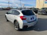 2014 SILVER SUBARU XV CROSSTREK 2.0 LIMITED (JF2GPAGC3E8) with an 2.0L engine, Continuously Variable transmission, located at 2525 S. Cushman, Fairbanks, AK, 99701, (907) 452-5707, 64.824036, -147.712311- Photo#3