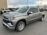 2023 SILVER CHEVROLET SILVERADO 1500 LT (1GCUDDED9PZ) with an 5.3L engine, Automatic transmission, located at 2525 S. Cushman, Fairbanks, AK, 99701, (907) 452-5707, 64.824036, -147.712311- Photo#0