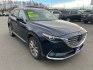 2021 BLUE MAZDA CX-9 GRAND TOURING (JM3TCBDY1M0) with an 2.5L engine, Automatic transmission, located at 2525 S. Cushman, Fairbanks, AK, 99701, (907) 452-5707, 64.824036, -147.712311- Photo#1