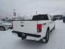 2020 WHITE FORD F150 SUPERCREW (1FTFW1E43LF) with an 3.5L engine, Automatic transmission, located at 2525 S. Cushman, Fairbanks, AK, 99701, (907) 452-5707, 64.824036, -147.712311- Photo#2