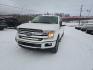 2020 WHITE FORD F150 SUPERCREW (1FTFW1E43LF) with an 3.5L engine, Automatic transmission, located at 2525 S. Cushman, Fairbanks, AK, 99701, (907) 452-5707, 64.824036, -147.712311- Photo#1