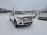 2020 WHITE FORD F150 SUPERCREW (1FTFW1E43LF) with an 3.5L engine, Automatic transmission, located at 2525 S. Cushman, Fairbanks, AK, 99701, (907) 452-5707, 64.824036, -147.712311- Photo#0