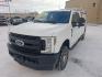 2019 WHITE FORD F250 SUPER DUTY (1FT7X2B62KE) with an 6.2L engine, Automatic transmission, located at 2525 S. Cushman, Fairbanks, AK, 99701, (907) 452-5707, 64.824036, -147.712311- Photo#1